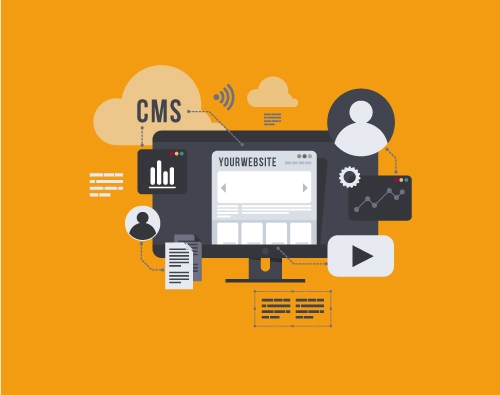 What is a CMS? 